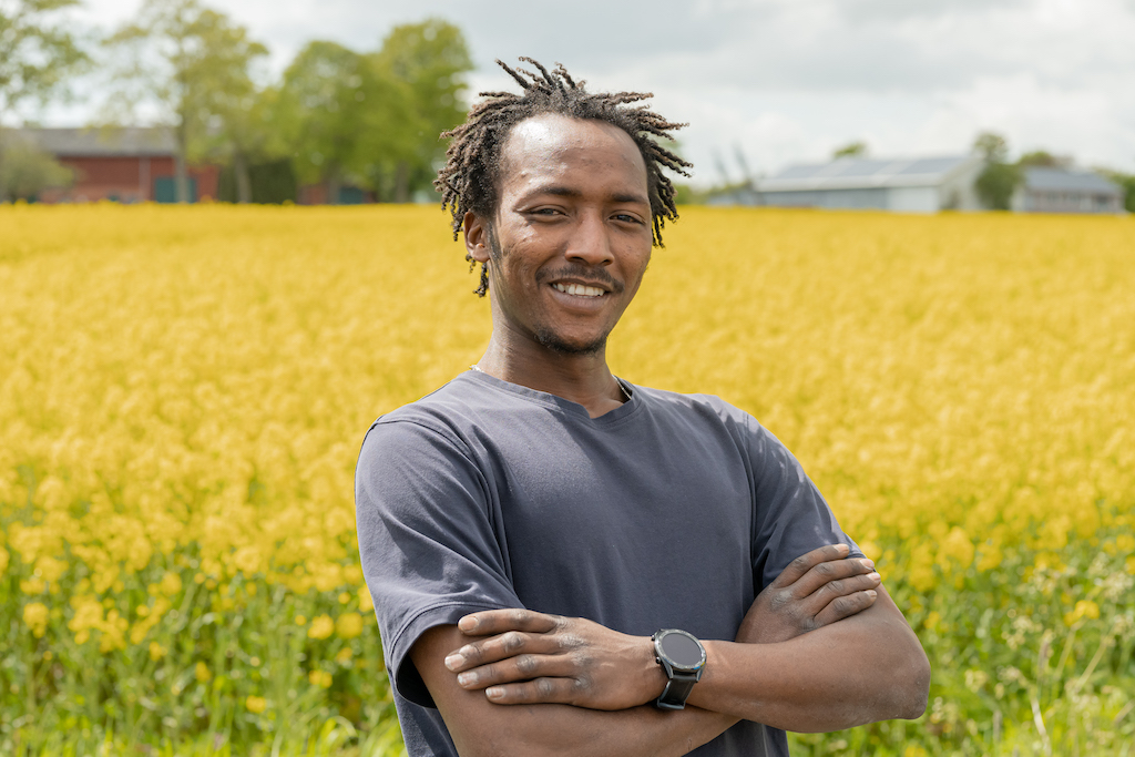 Telico Diallo